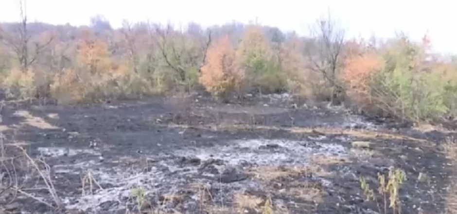 Sa buktinjom se teško bore i najveći profesionalci