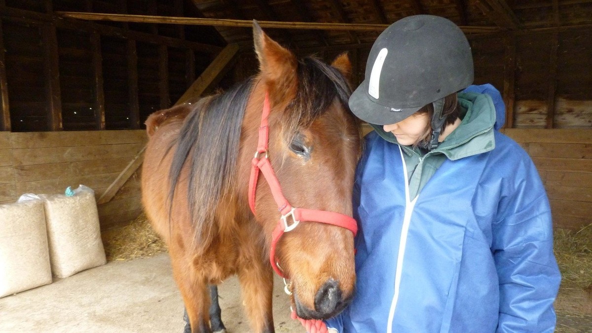 509749_konjic-1-profimedia