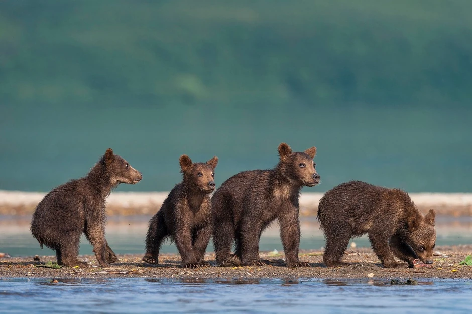 Kliknite za uvećanje (+)