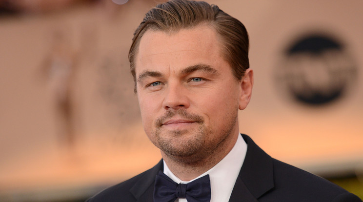 Leonardo DiCaprio a 22. Screen Actor Guild díjátadón/Fotó:Northfoto