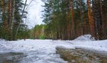 Prognoza pogody na marzec. To będzie wyjątkowo ciepły koniec zimy