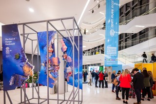 Co zrobić, by przemysł w Europie wrócił na tory rozwoju?