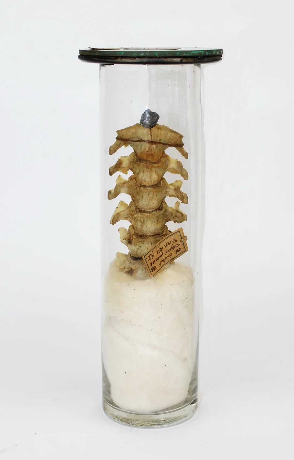 Izložba sudska medicina