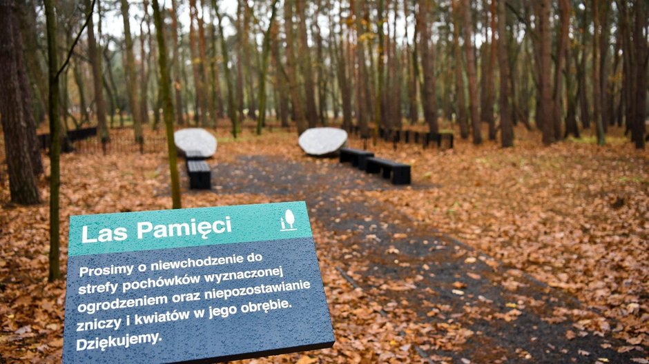 Na terenie cmentarza junikowskiego powstał Las Pamięci fot. UMP