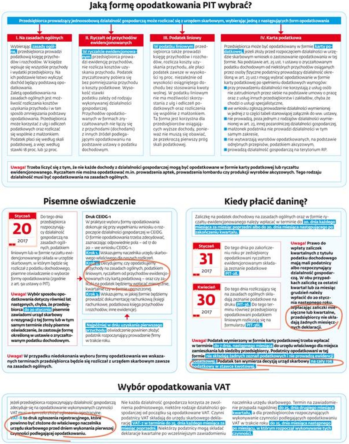 Prowadzisz jednoosobową firmę? Oto najważniejsze podatkowe prawa i obowiązki, jakie musisz znać
