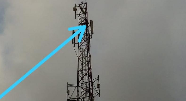 Man climbs telecommunication mast, says I'll be here until Akufo Addo's declared winner