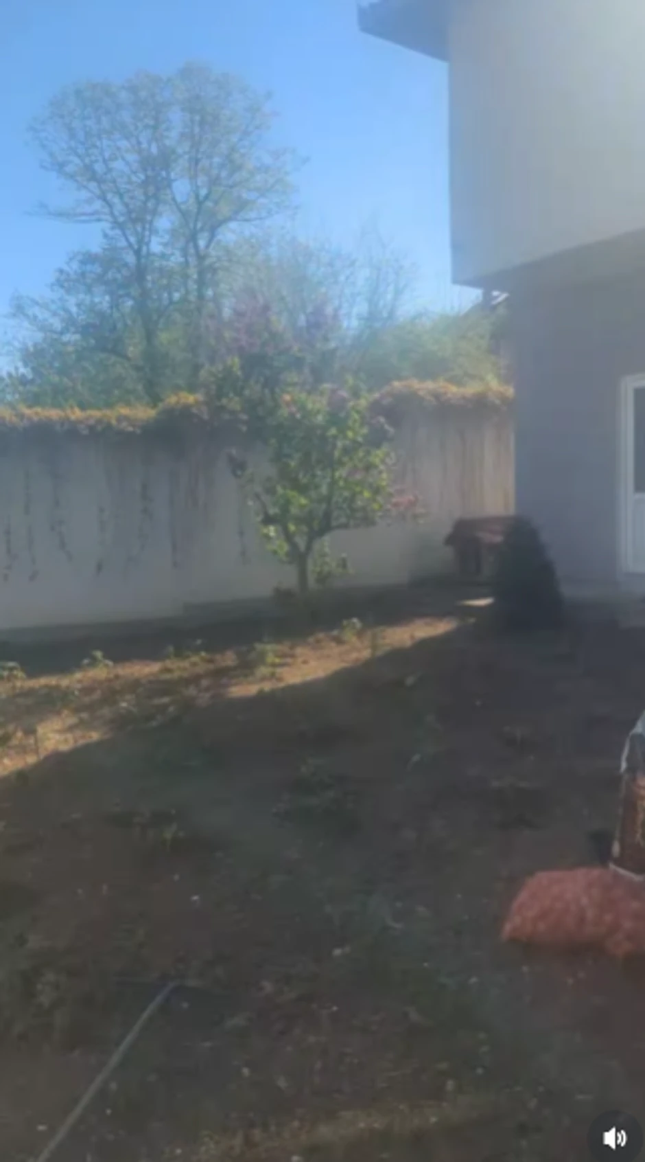 Zorica Marković pokazala imanje