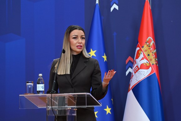 Mesarović: Protivzakonito je da se Đokić bavi politikom sa mesta rektora