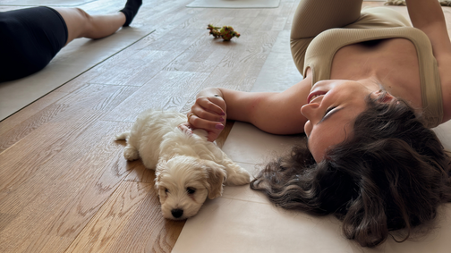 Nekünk jó, de a kutyáknak is? Utánajártunk, mi történik a kisállatokkal a Puppy Yoga közben és után