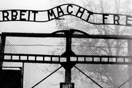 Fot. Państwowe Muzeum Auschwitz-Birkenau 