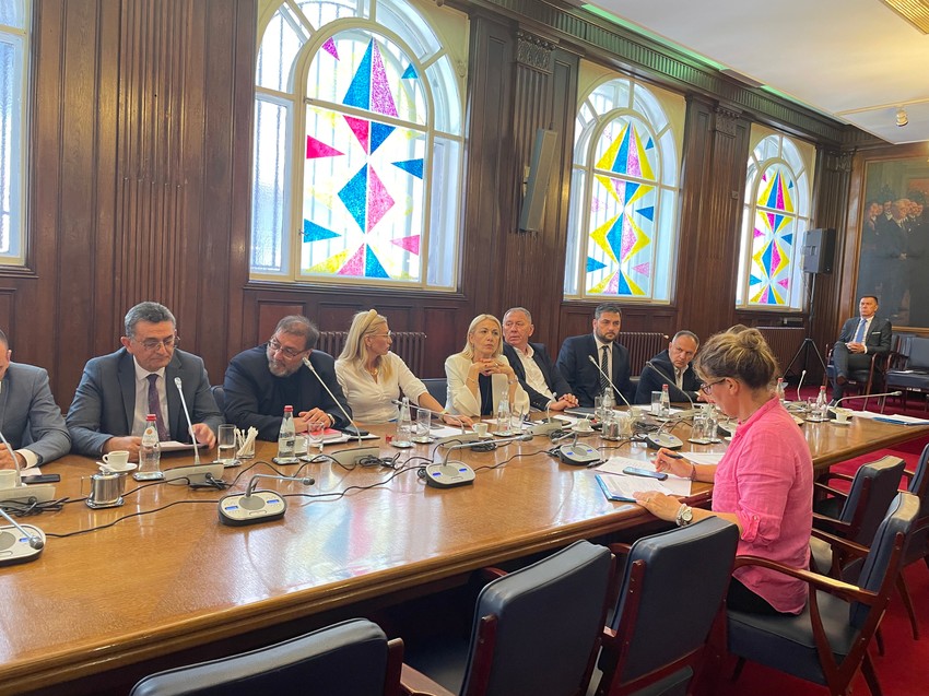 Pojedini poslanici tražili ukidanje Anketnog odbora o masovnim ubistvima