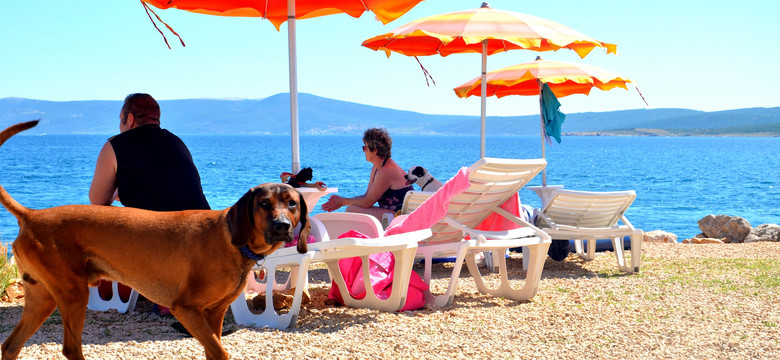 Plaża dla psów w Crikvenicy zapewnia wszelkie wygody i specjalne menu
