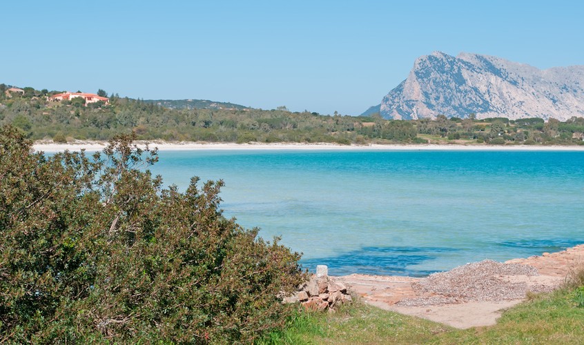 8. miejsce zajmuje znajdujące się na Sardynii plaża Cala Brandinchi. Turystom najbardziej przypada do gustu drobny piasek, którym pokryta jest plaża.