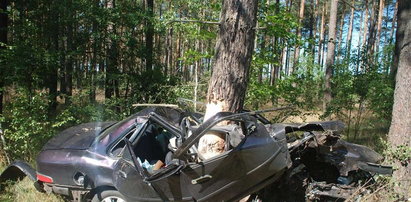 Drzewo przebiło forda! 2 osoby nie żyją, reszta walczy o życie