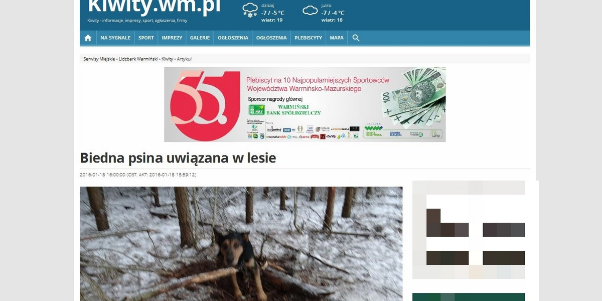 Dziennikarka uwolniła psa przywiązengo w lesie