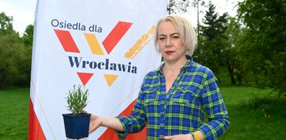 Lawenda na komary i nasiona dla pszczół, czyli ekologia po wrocławsku