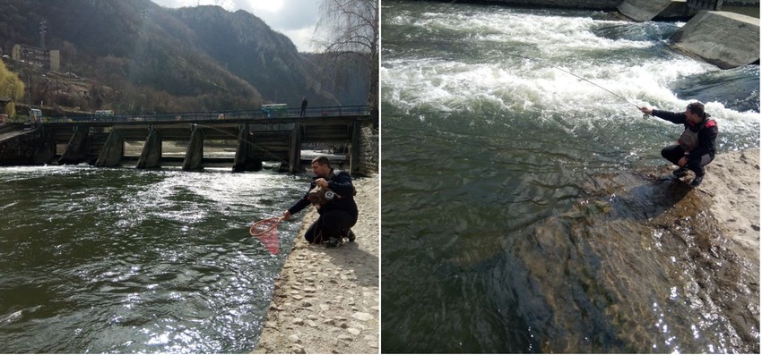 Ribolovci hvataju potočne pastrmke, mladice i lipljen