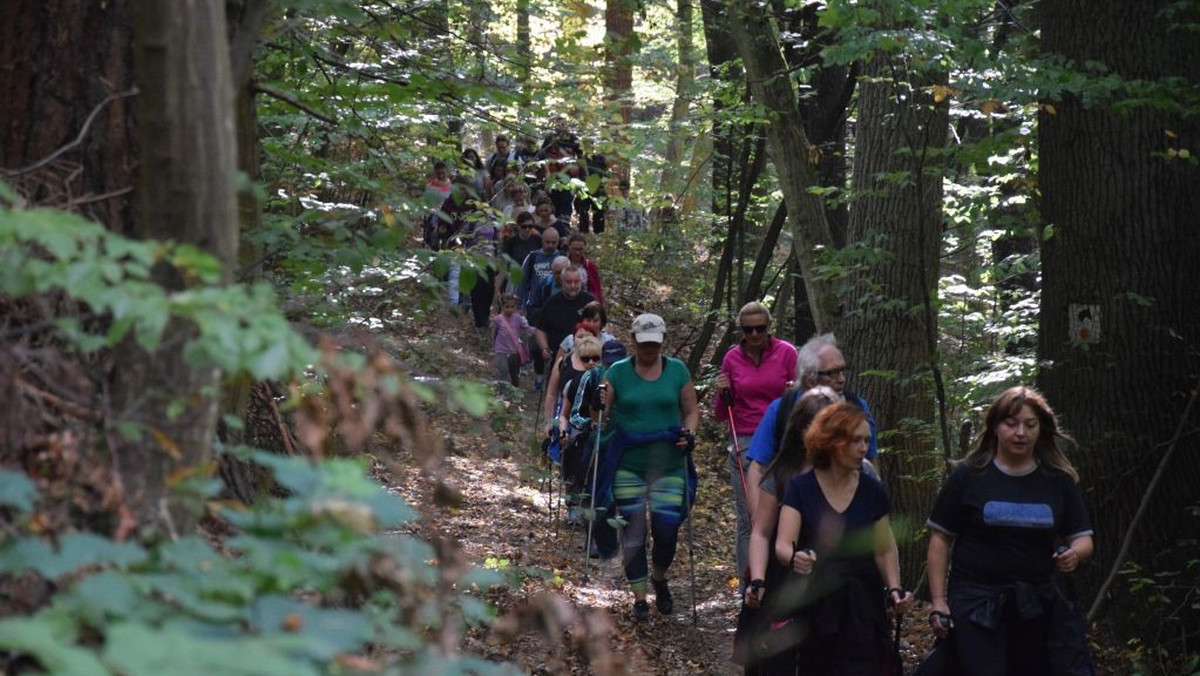 W szóstym już Ogólnopolskim Marszu Nordic Walking im. prof. Zbigniewa Religi wzięła udział rekordowa liczba uczestników. Z kijkami po rezerwacie Bogdanieckim w niedzielę chodziło ponad 270 osób. - Tym marszem spłacam dług wdzięczności wobec dawcy i jego rodziny - mówi Adrianna Szklarz, pomysłodawczyni marszu, która od siedmiu lat żyje z przeszczepionym sercem.