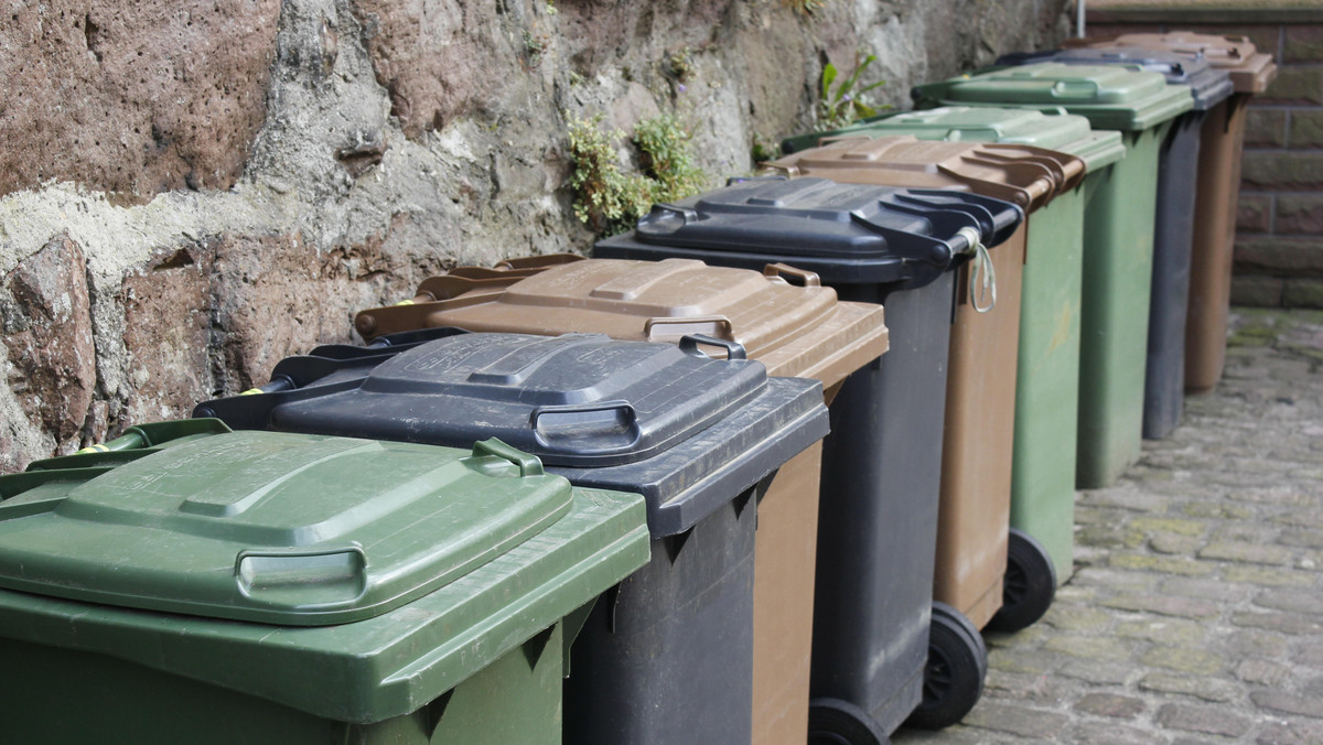 Samorządy będą mogły zlecać spółkom komunalnym zadania związane z odbiorem śmieci - poinformował  wiceminister środowiska Janusz Ostapiuk. Przepisy regulujące tę sprawę mają znaleźć się w rządowym projekcie noweli ustawy śmieciowej.
