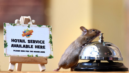 Betanított egerek szolgálják ki a vendégeket egy londoni szállodában - galéria