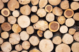 Jak gmina powinna rozliczyć VAT od sprzedaży drewna z wycinki drzew z pasa drogowego