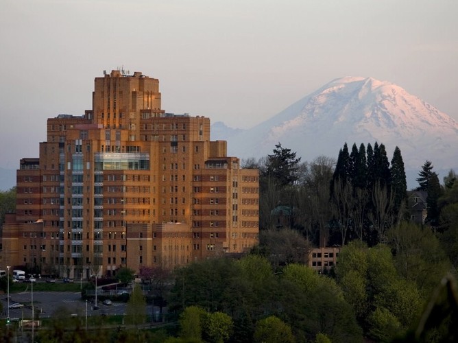 W Seattle powstał też Amazon - firma specjalizująca się w handlu internetowym, założona przez Jeffa Bezosa w 1994 r. Amazon stara się utrzymać w czołówce innowatorów - obecnie testuje system automatycznych dostaw towarów do klientów. <a href='http://forsal.pl/artykuly/749663,zamowiona-paczke-dostarczy-dron-amazon-testuje-nowy-system-dostaw.html'>Wykorzystuje w tym celu eksperymentalne drony, czyli małe, bezzałogowe helikoptery.</a> Są to tak zwane oktoptery, czyli helikoptery z ośmioma wirnikami. Na zdjęciu: Siedziba Amazon w Seattle