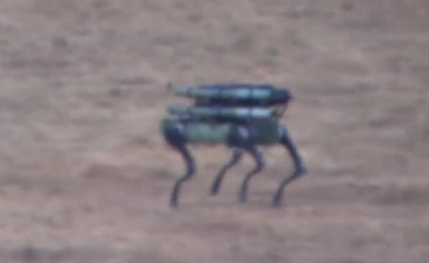 Robot pas