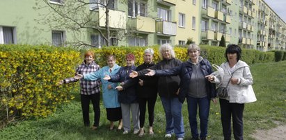 Lokatorzy bloku przy Morskiej w Gdyni: nie chcemy tu parkingu!