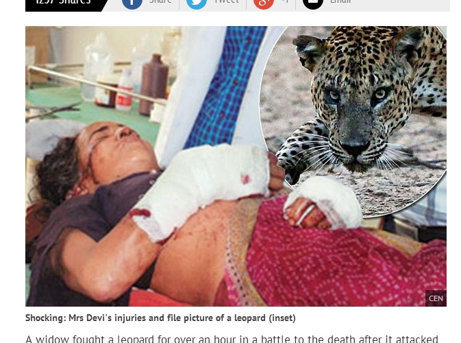 Kamla Devi po opatrzeniu ran
