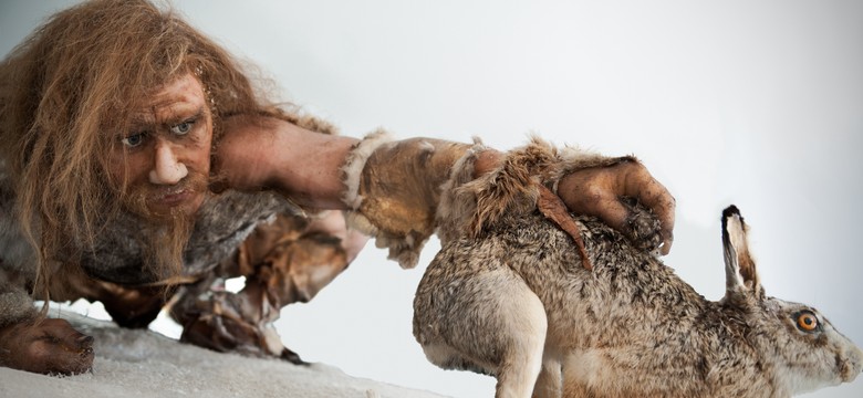 Sensacyjne odkrycie związane z pochodzeniem człowieka!