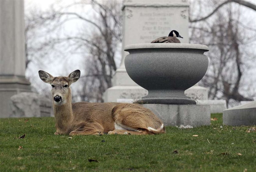 zdjęcia tygodnia, AP, Reuters, AFP