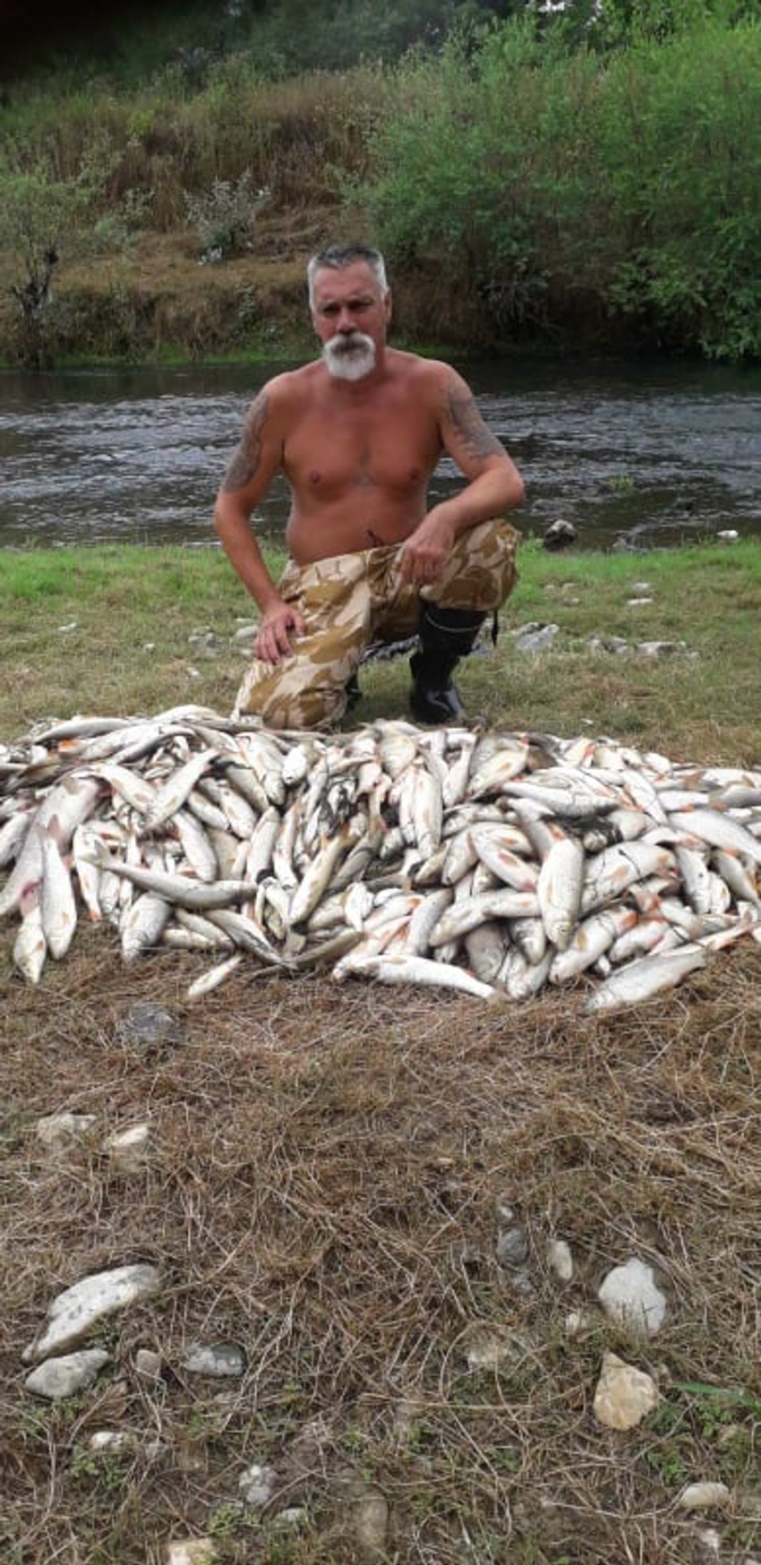 Ribočuvar Ognjen Krnetić i njegove kolege su za sada izvukli 600 kilograma uginule ribe iz reke