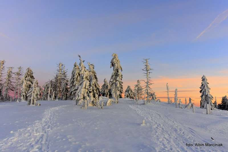 Szlak na Turbacz (1310 m n.p.m.) — najwyższy szczyt Gorców