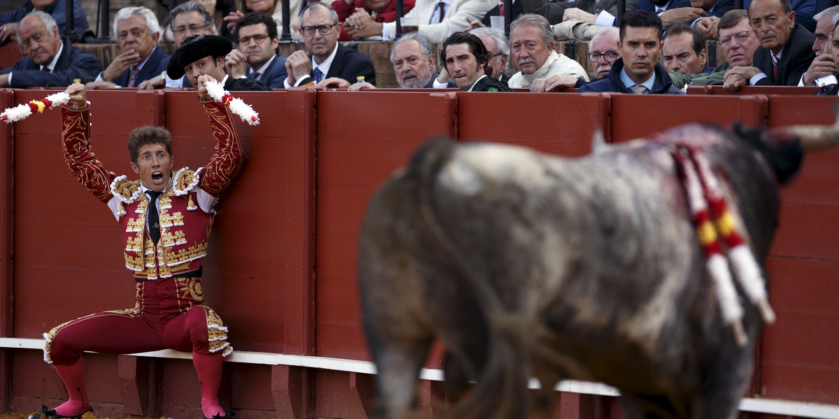 Spanish matador Manuel Escribano shouts to the bull before driving banderillas into it during a bullfight at The Maestranza bullring in the Andalusian capital of Seville, southern Spain April 26, 2015.