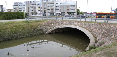 Szukają truciciela Potoku Służewieckiego