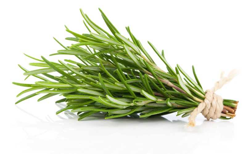 Rozmaryn na świeży oddech i mocne kości