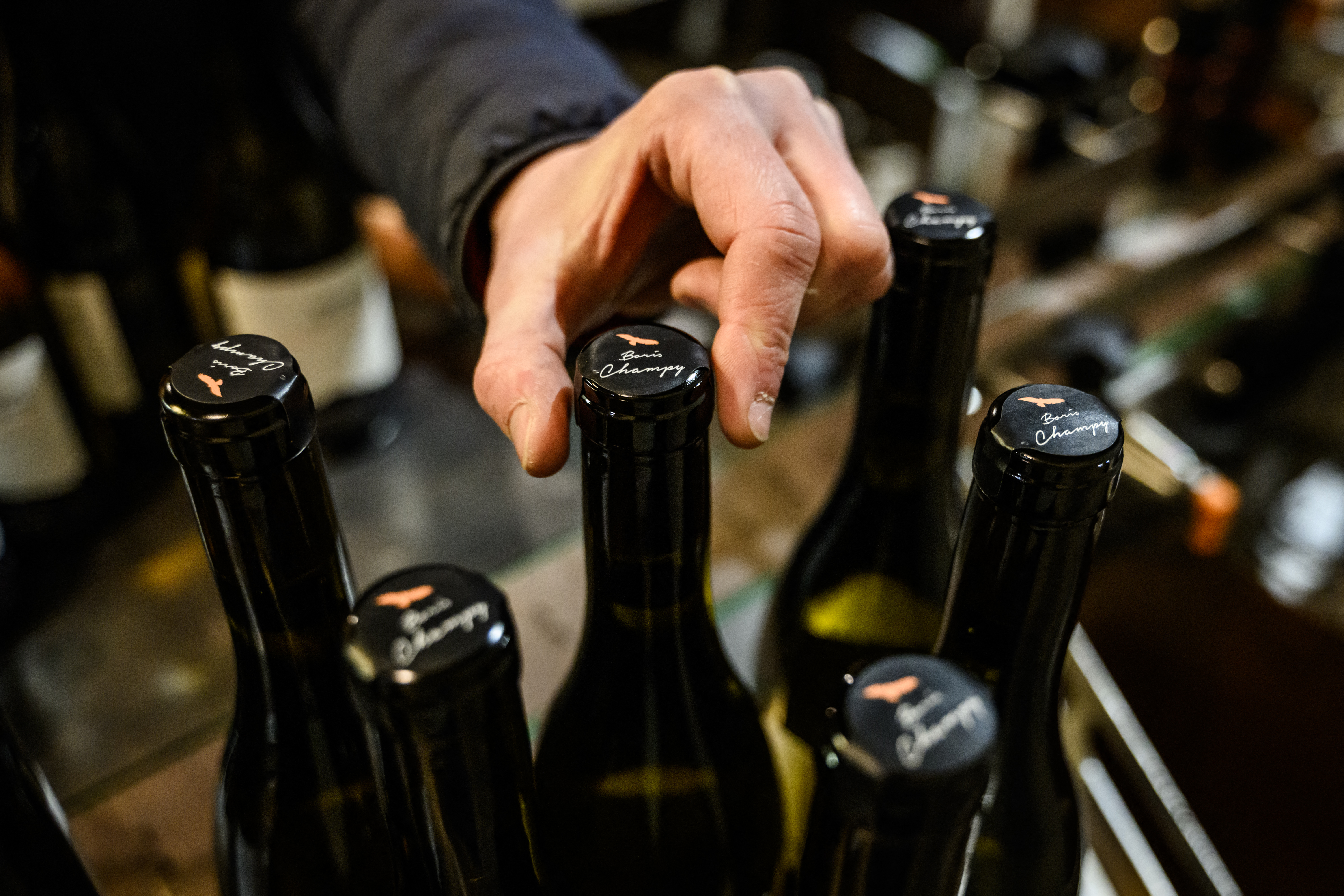 Tesco trials low-carbon farming: 520 tonnes of potatoes