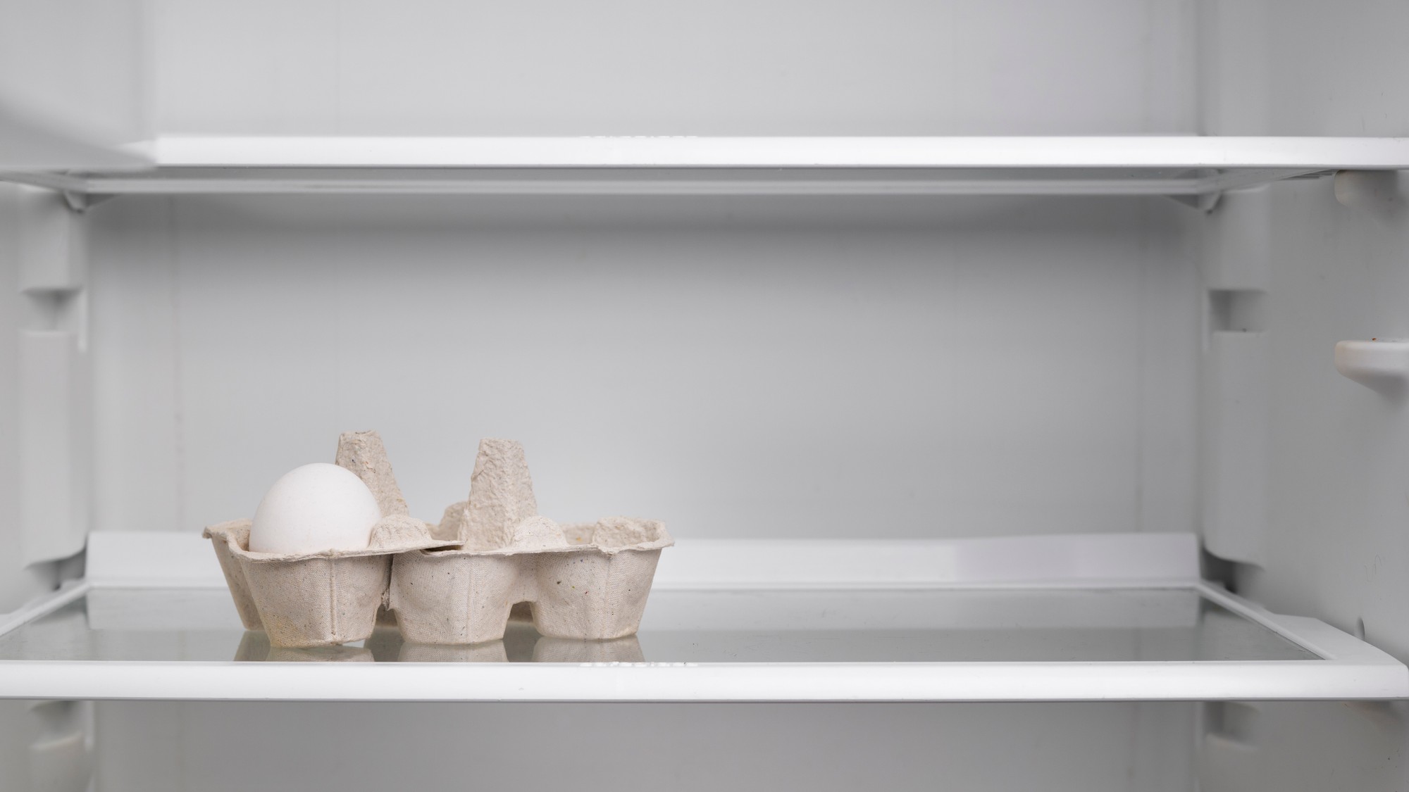 Čistá chladnička bez mikróbov nie je luxus, ale nevyhnutný štandard pre zdravé stravovanie.