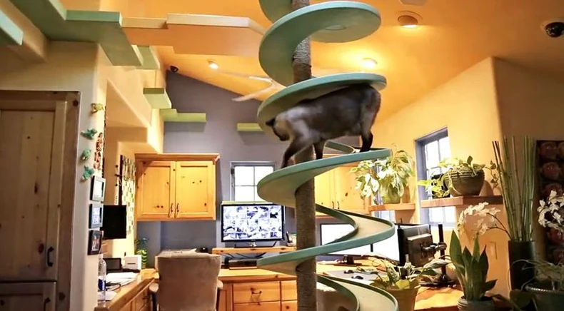 565483_macke-foto-youtube-houzztv