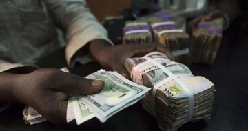 Naira Falls To N500 Dollar As Foreign Reserves Grow Pulse Nigeria