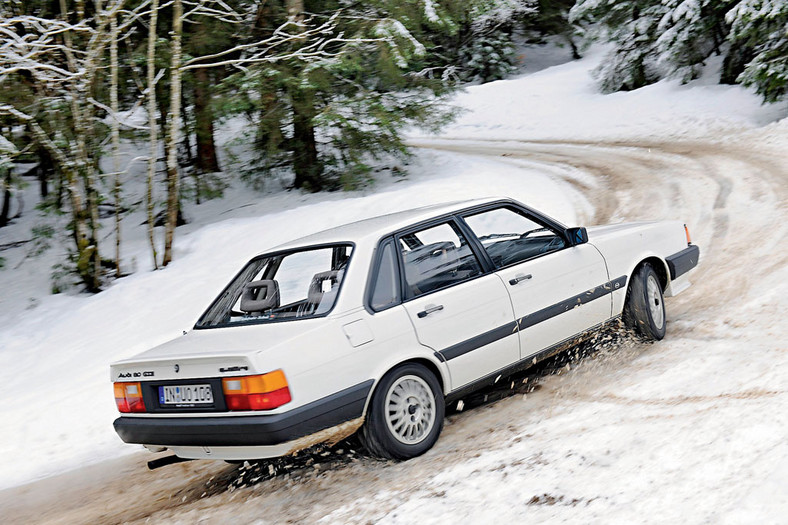 Audi 80 Quattro
- Szlachetny gronostaj