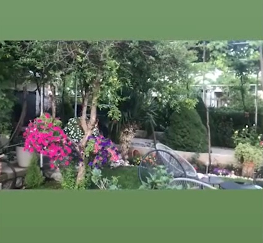 Nataša Ninković, imanje