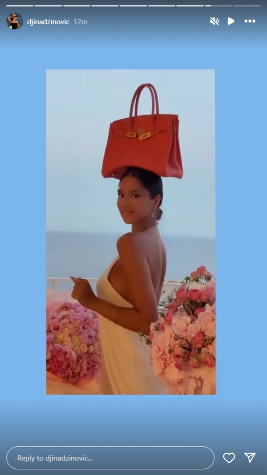 Đina Džinović, objava