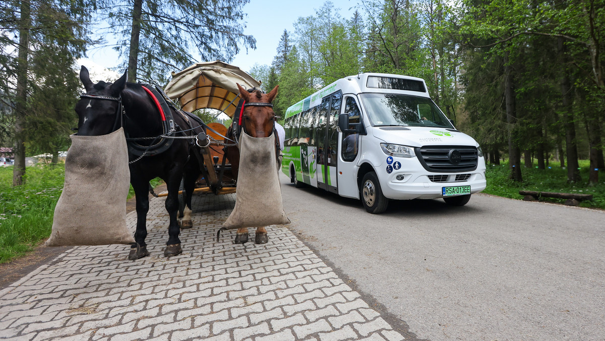 Konie nie kursowały nad Morskie Oko. Szokujące zachowanie turystów