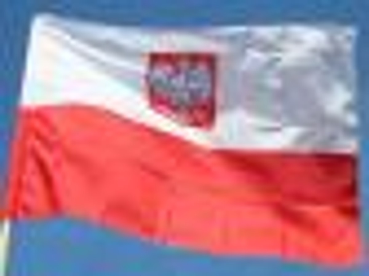Wzrost polskiego PKB w ostatnim kwartale 2009 roku może przekroczyć 2 proc.