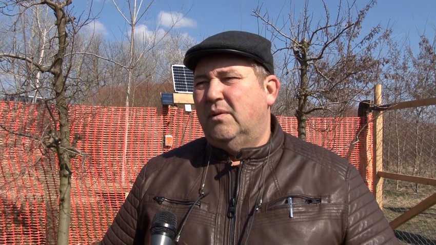 Ištvan Peter, voćar iz Kupusine