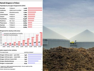 Odnawialne źródła energii: potencjał tkwiący w biogazowaniach