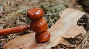 Walka z wylesianiem może znowu zostać przełożona