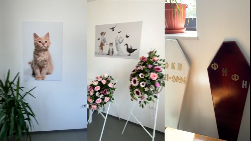 Procedura za one građane takva da građani upućuju ovom preduzeću prijavu uginuća ljubimca na kontakt telefon 0698551240 koji je dostupan 24 sata dnevno.