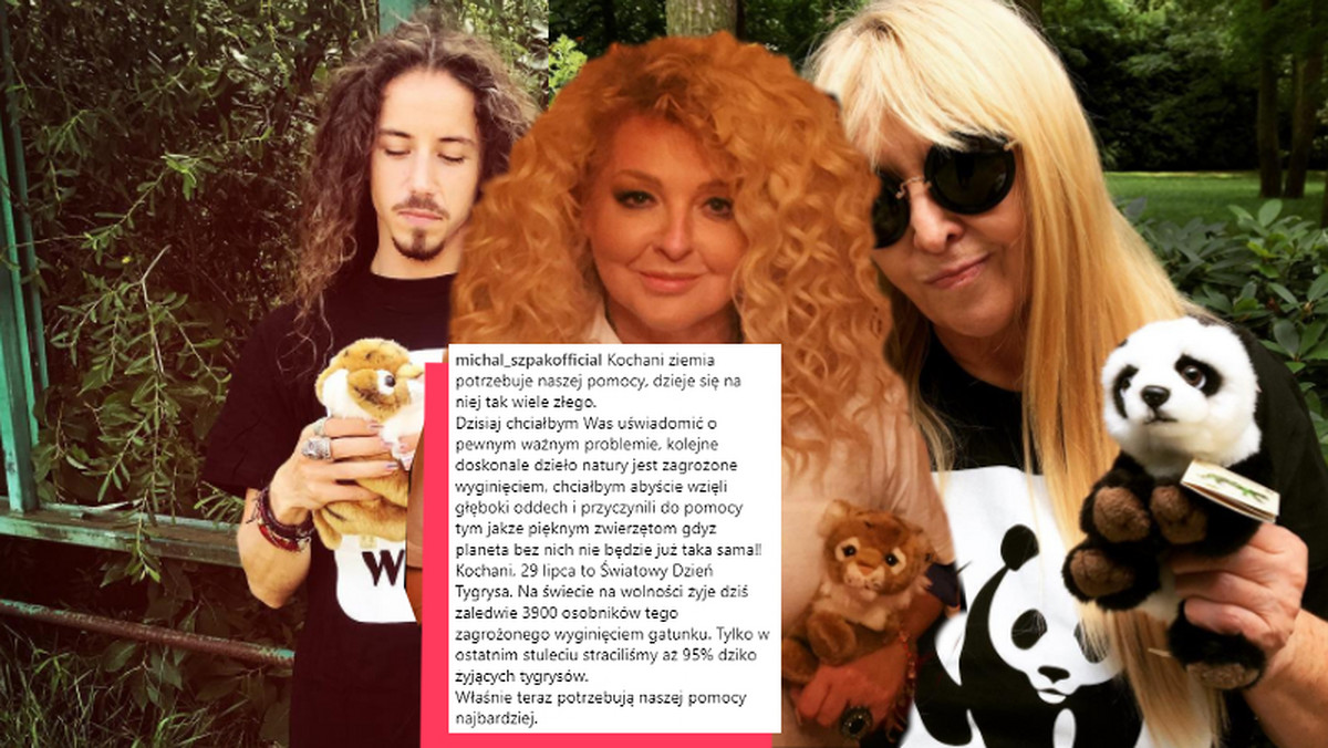 Gwiazdy apelują w Dzień Tygrysa: Michał Szpak, Magda Gessler i Maryla Rodowicz